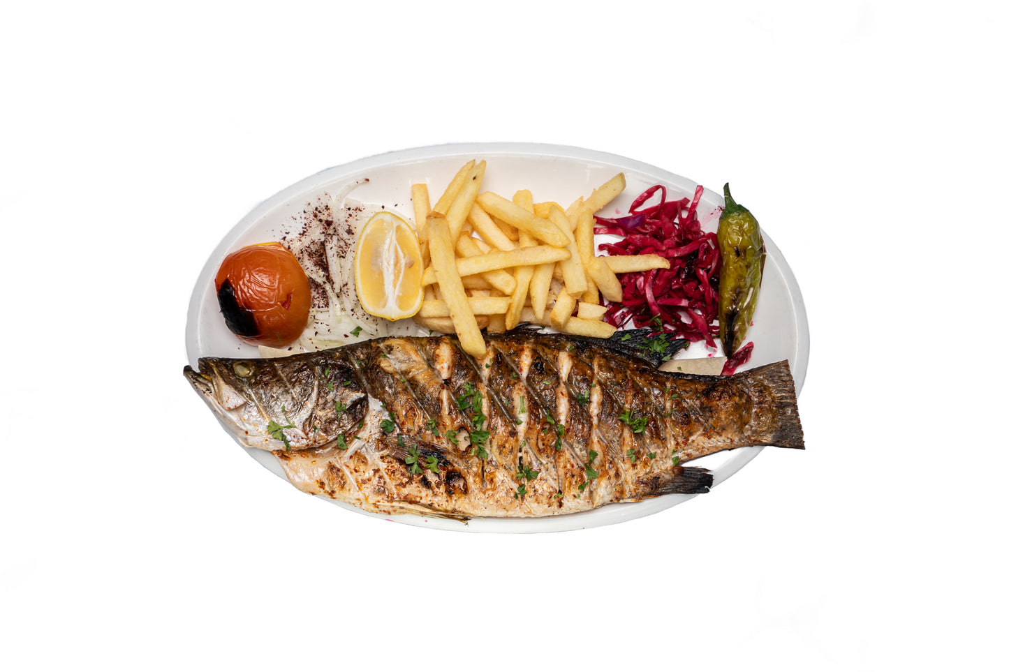 Fish Sea Bass
